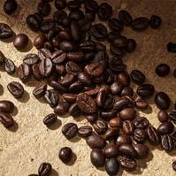 DEVOTION For Men  100ml-226537 DEVOTION For Men  100ml-226537 4